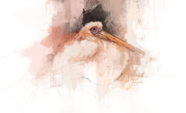 pelican_painting