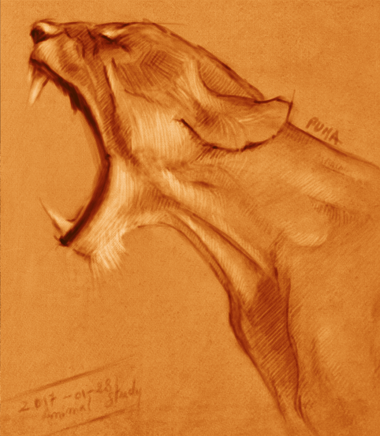 quick-sketches_puma01b